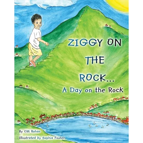 Ziggy on the Rock - Paperback