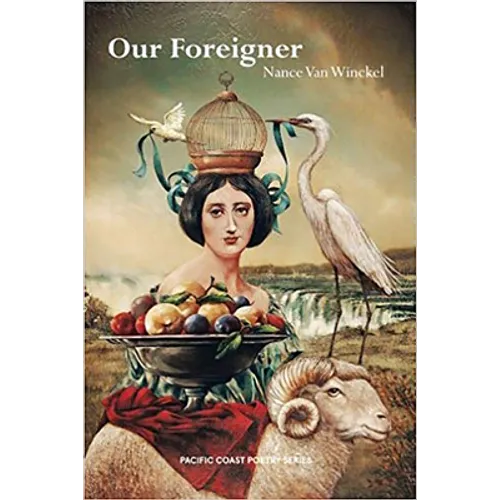 Our Foreigner - Paperback