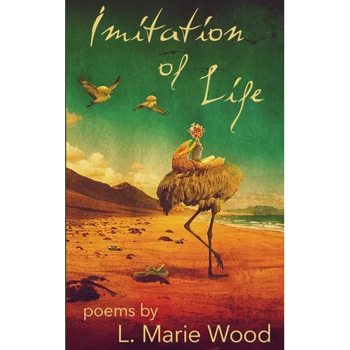 Imitation of Life - Paperback