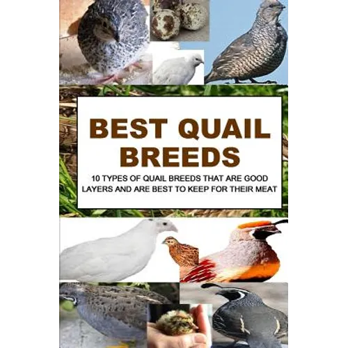 Best Quail Breeds: 10 Types Of Quail Breeds That Are Good Layers And Are Best To Keep For Their Meat - Paperback