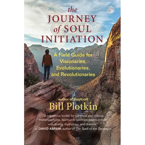 The Journey of Soul Initiation: A Field Guide for Visionaries, Evolutionaries, and Revolutionaries