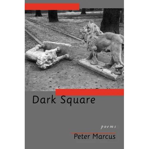 Dark Square - Paperback