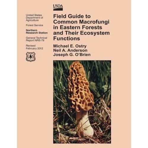 Field Guide to Common Macrofungi in Eastern Forests and Their Ecosystem Functions - Paperback