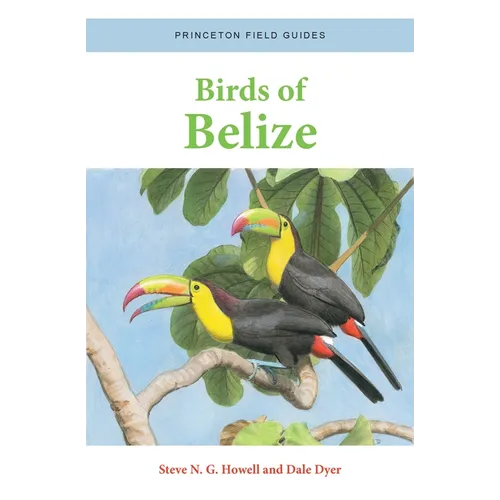 Birds of Belize - Paperback