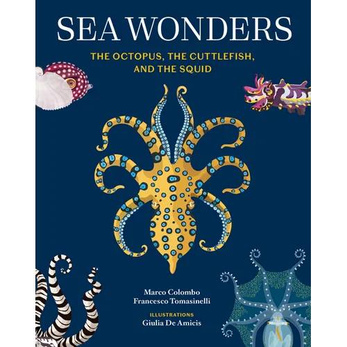 Sea Wonders: The Octopus, the Cuttlefish, and the Squid