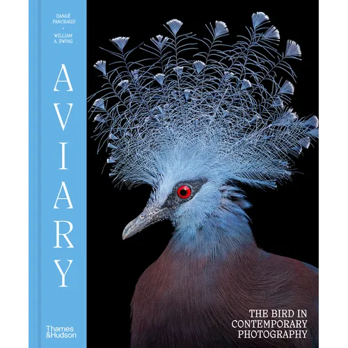 Aviary: The Bird in Contemporary Photography