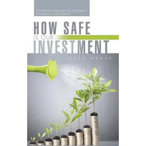 How Safe Is Our Investment: Rethinking a Pathway for a Dynamic Economic Environment - Hardcover