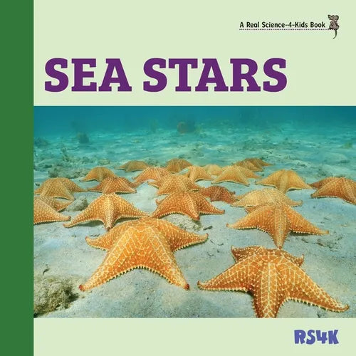 Sea Stars - Paperback