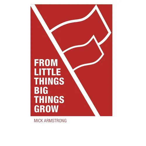 From little things big things grow: Strategies for building revolutionary socialist organisations