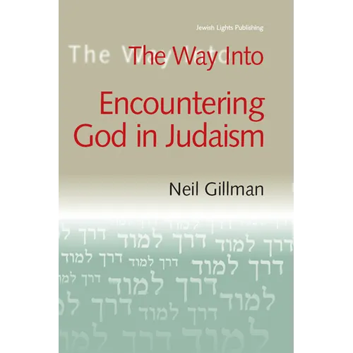 The Way Into Encountering God in Judaism - Hardcover