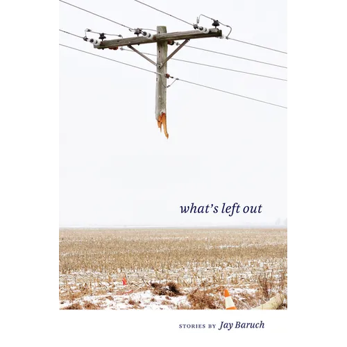 What's Left Out: Stories - Paperback