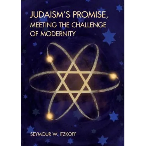 Judaism's Promise, Meeting the Challenge of Modernity - Paperback